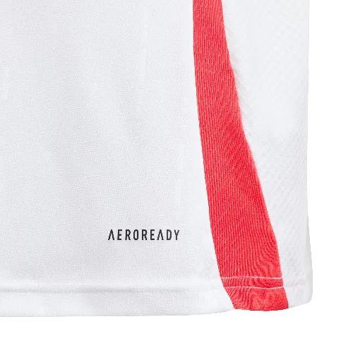 Adidas Youth Italy 2024 Away Jersey